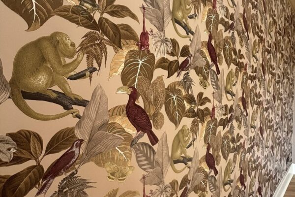 495133597_1303863431740094_3486569537484011563_n