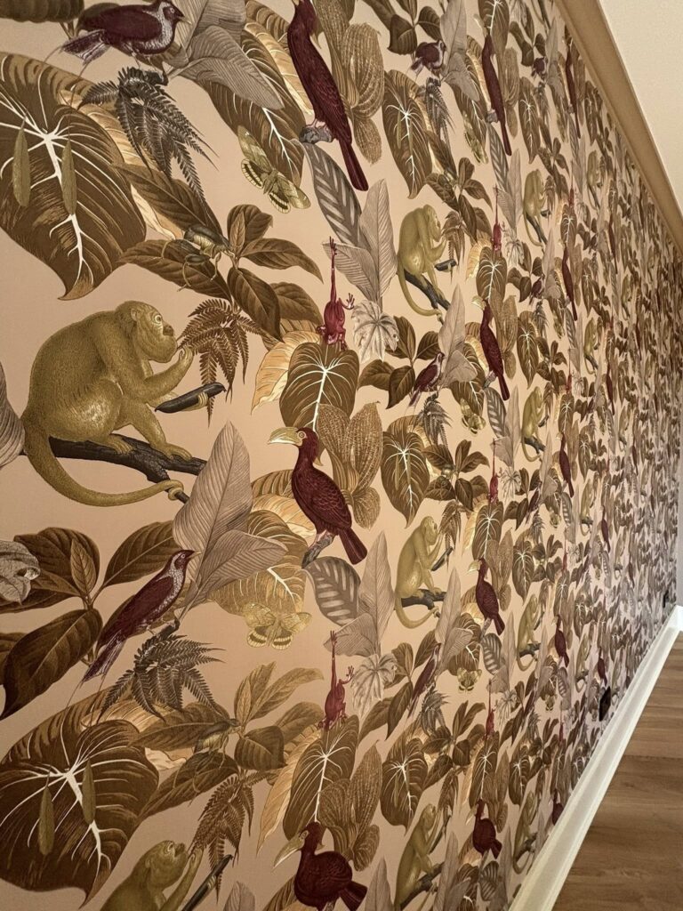 495133597_1303863431740094_3486569537484011563_n